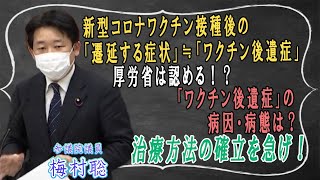 【ワクチン副反応切り抜き】新型コロナワクチン接種後の「遷延する症状」≒「ワクチン後遺症」厚労省は認める！？「ワクチン後遺症」の病因・病態は？治療方法の確立を急げ！