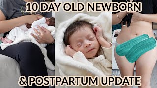 DAY IN MY LIFE with 10 DAY OLD NEWBORN + Postpartum Update