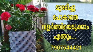 ഈ ചെടിച്ചട്ടി സൂപ്പറാണ് 7907544421Airpot shop Kallettumkara 6235763170