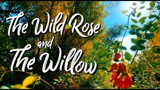 The Wild Rose and the Willow: Native Plant Propagation