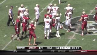 2013 FSU Spring Game