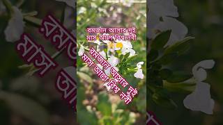 রমজান আসার দুই মাস আগে বিশ্ব নবী দোয়া🤲🕌 #mizanur_rahman_azhari #ayatul_kursi #islamic_video #ওয়াজ