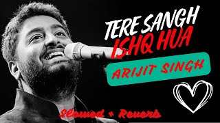 | Arijit Singh | Tere Sang Ishq Hua | Vocal only | Yodha | MMZ |