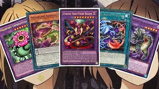 My Predaplant Yugioh Deck Profile for September 2023