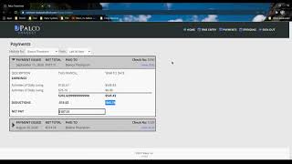 Palco Connect Portal - Viewing Paystubs