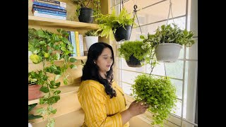 5 টি ঝুলন্ত গাছ ঘর আর ব্যালকনি তে রাখার জন্য | 5 Hanging Plants for indoor and outdoor #plantdecor