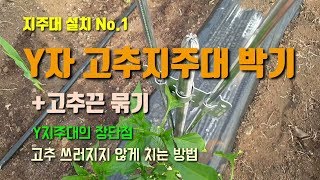 고추농사 고추지주대설치방법(Y자지주대설치) 고추줄 고추끈치는방법