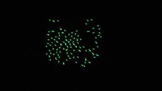 Flocking Test