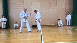 Kagawa Shihan demonstrates correct use of hips when kicking.Yoko Geri