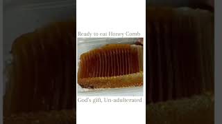 Edible Raw Honey Comb in Bengaluru