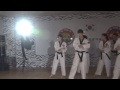 jjcc fire질러 taekwondo ver