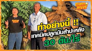 ทำอย่างนี้ !!เทคนิคปลูกมันสำปะหลัง 30 ตันไร่ | เกษตรสัญจร