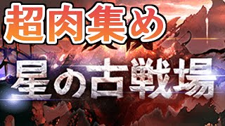 古戦場行くぞ！！！！　超肉集め【グラブル】