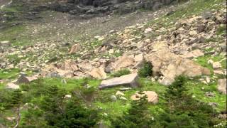 BBC Documentary || Nature Documentary Glacier National Park 1080p