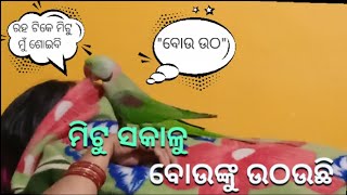 ମିଟୁ ବୋଉ ଙ୍କୁ କେମିତି ଉଠଉଛି🤣🤣।।ଶୋଇବାକୁ ଦଉନି 🤗। @pujakaluvlogs