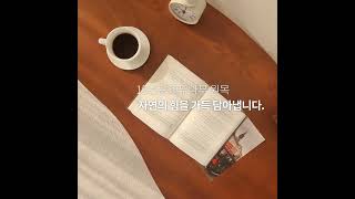 [바네스데코] 피넛 원목 테이블 #바네스데코  #인테리어  #거실인테리어 #거실꾸미기 #거실테이블 ##소파테이블 #테이블 #원목테이블 #원목가구 #원목가구제작 #사이드테이블