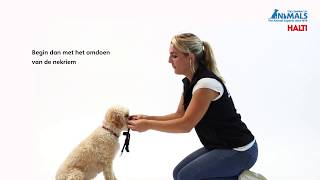 Anti-trektraining voor uw hond met de HALTI   OptiFit Headcollar