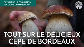 Mxtube.live :: col-de-la-finestre Mp4 3GP Video & Mp3 Download ...