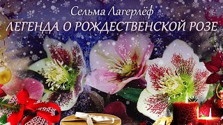 Легенда о Рождественской розе. Сельма Лагерлёф ( рассказ ) / аудиокнига