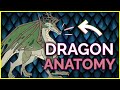 🔴 How to Draw DRAGONS!