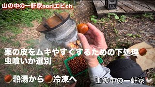 [山の中の一軒家] 栗の皮をムキやすくするための下処理🌰虫喰いか選別🌰熱湯から🌰冷凍へ　　令和5年9月24日(日)