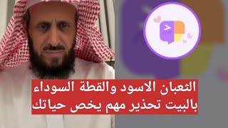 الثعبان الاسود والقطة السوداء بالبيت تحذير مهم يخص حياتك 🛑 الشيخ فهد القرني