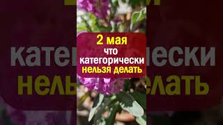 2 мая народный праздник день Иван Ветхопещерник. Что нельзя делать. Народные приметы и традиции
