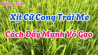 Xịt thuốc cữ cong trái me, đẩy mạnh vô gạo