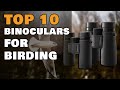 Top 10 Binoculars for Birding 2022