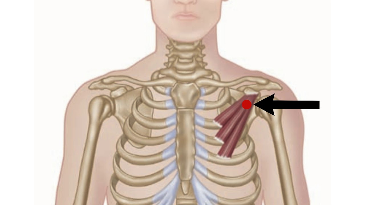 Minor Trigger Points Nehru Memorial Minor Trigger Points Nehru Memorial
