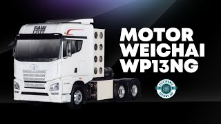 CONOCIENDO EL MOTOR WEICHAI WP13NG