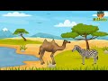 ऊँट और जेब्रा camel and zebra hindi kahaniya moral stories stories in hindi msttoons