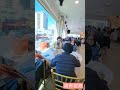 法拉盛 東王朝大酒樓 newyork flushing chinese restaurant dimsun