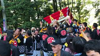 2017年 三木大宮八幡宮 秋祭り 本宮 明石町屋台宮入り