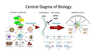 Cancer Bioinformatics 2022: Pt.1 Intro Lecture