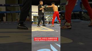 EMILIANO VARGAS JAWBREAKING POWER BREAKS PUNCHING BAG!!!