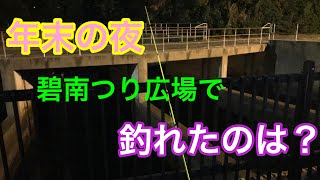 年末の夜 碧南つり広場で釣れたのは？衣浦湾 海釣り公園