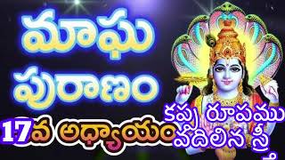 మాఘ పురాణం 17 వ అధ్యాయం || మాఘ పురాణం పదిహేడవ రోజు కథ || Magha Puranam Part - 17