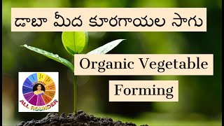 Organic Vegetable Farming. డాబా మీద కూరగాయల సాగు. ఆరోగ్యమే మహా భాగ్యం .