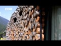 deluxe: Living in an Unusual Log Cabin | euromaxx