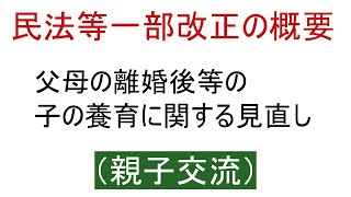 民法等一部改正の概要　父母の離婚後等の子の養育に関する見直し（親子交流）＃夫婦問題＃離婚問題