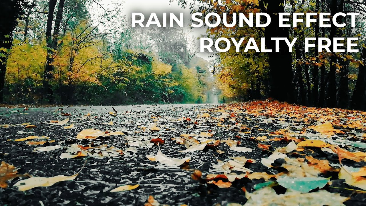 Rain Sound Effect | High Quality Free Download - YouTube