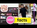 Fun Facts About Every Top 100 osu! Player