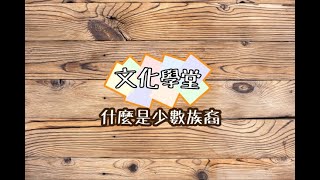 文化學堂：什麼是少數族裔