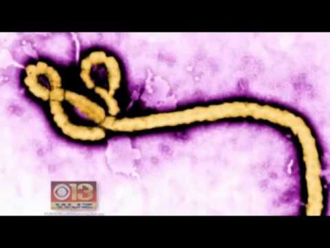 Human Testing Begins Of Ebola Vaccine In Maryland Lab