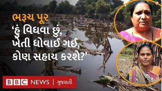 Narmada Flood: કિનારા પરના ગામનાં ખેતર હજુ પાણીમાં ગરકાવ, લોકોને લાખો રૂપિયાનું નુકસાન