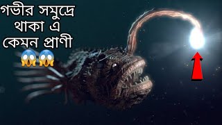 সমুদ্র কতটা গভীর | How deep is the sea By Chayapath Bangla