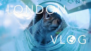 ロンドンでリスと遊ぶ | Feeding squirrels in London. | VLOG