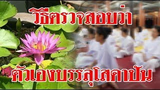 วิธีตรวจสอบว่าตัวเองบรรลุธรรมขั้นโสดาบันแล้วหรือไม่