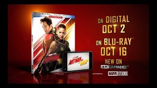 Ant-Man and the Wasp Blu-Ray - Official® Trailer [HD]